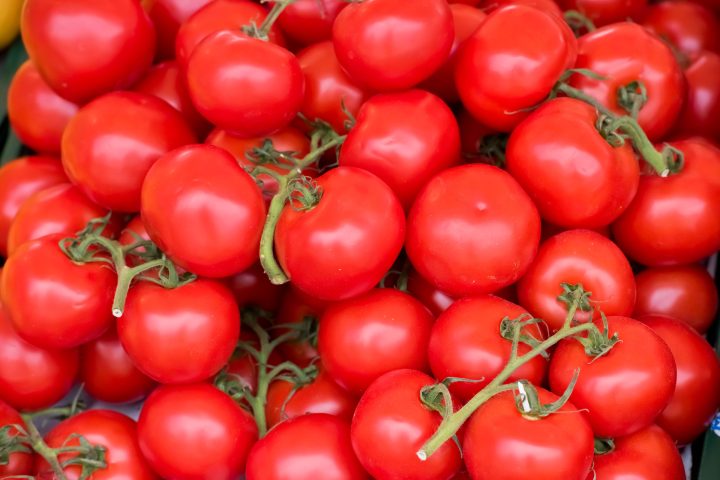 tomatoes